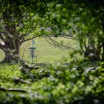 18047723047429696_frisbeegolfmedia