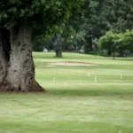 17965685501306241_frisbeegolfmedia