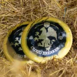 18270346207158645_frisbeegolfmedia